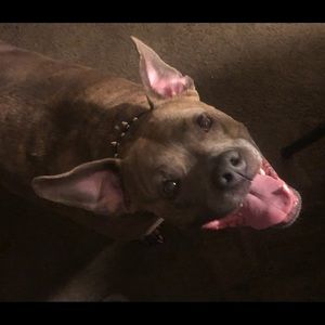 Meet your Posher, Thomas